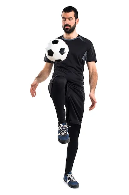 乐鱼体育APP界面展示